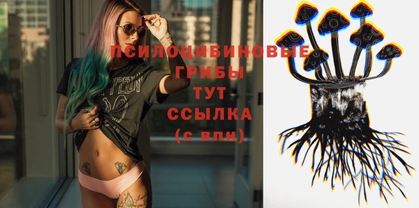 бутират Майский
