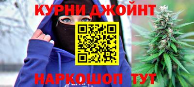 индика Пугачёв